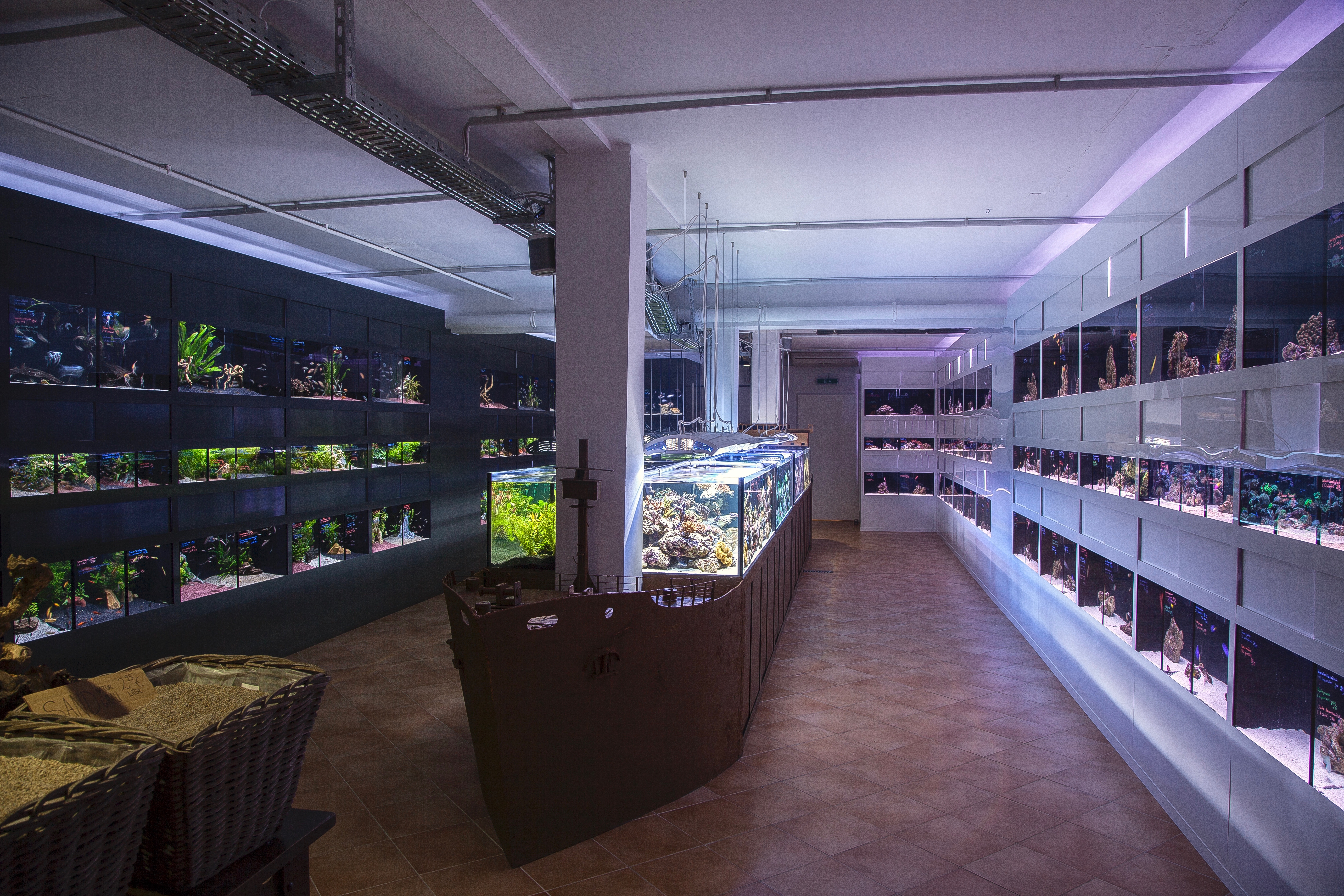 Atlantis Aquarium Gmbh Hamburg Startseite